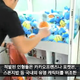 Illustration for article titled Thousands Of Fake iPokémon/i Plush Toys Caught In South Korea